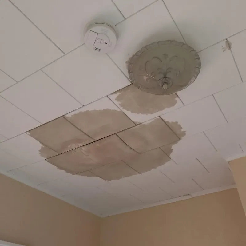 Ceiling Water Damage Repair in Cecilia, LA